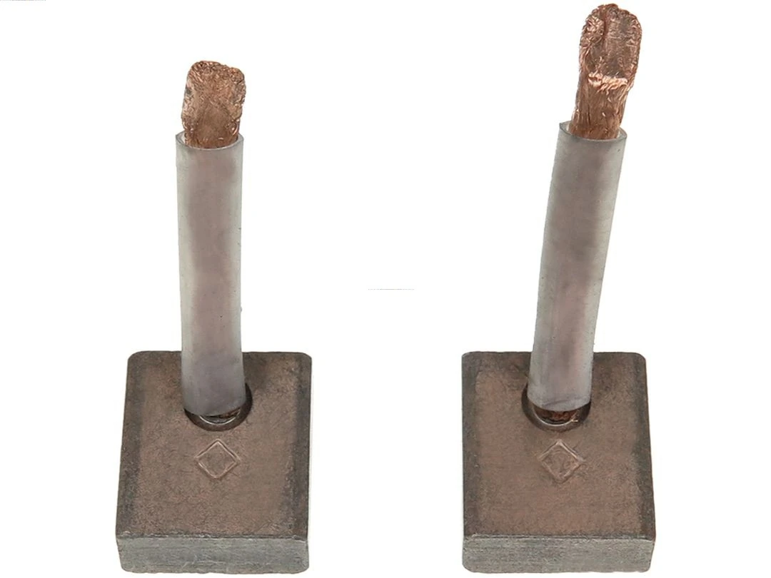 Carbon Brush, starter