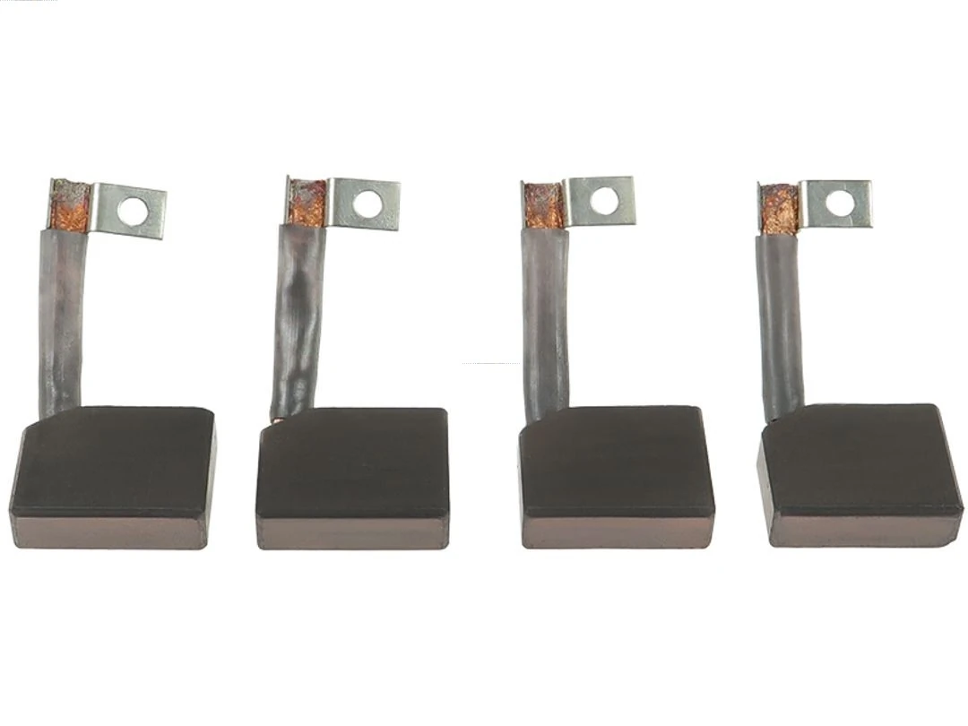 Carbon Brush, starter