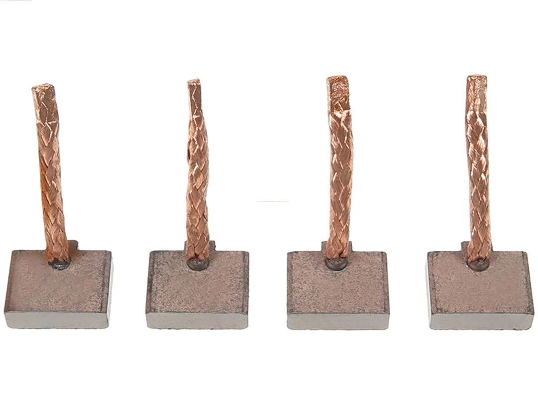 Carbon Brush, starter