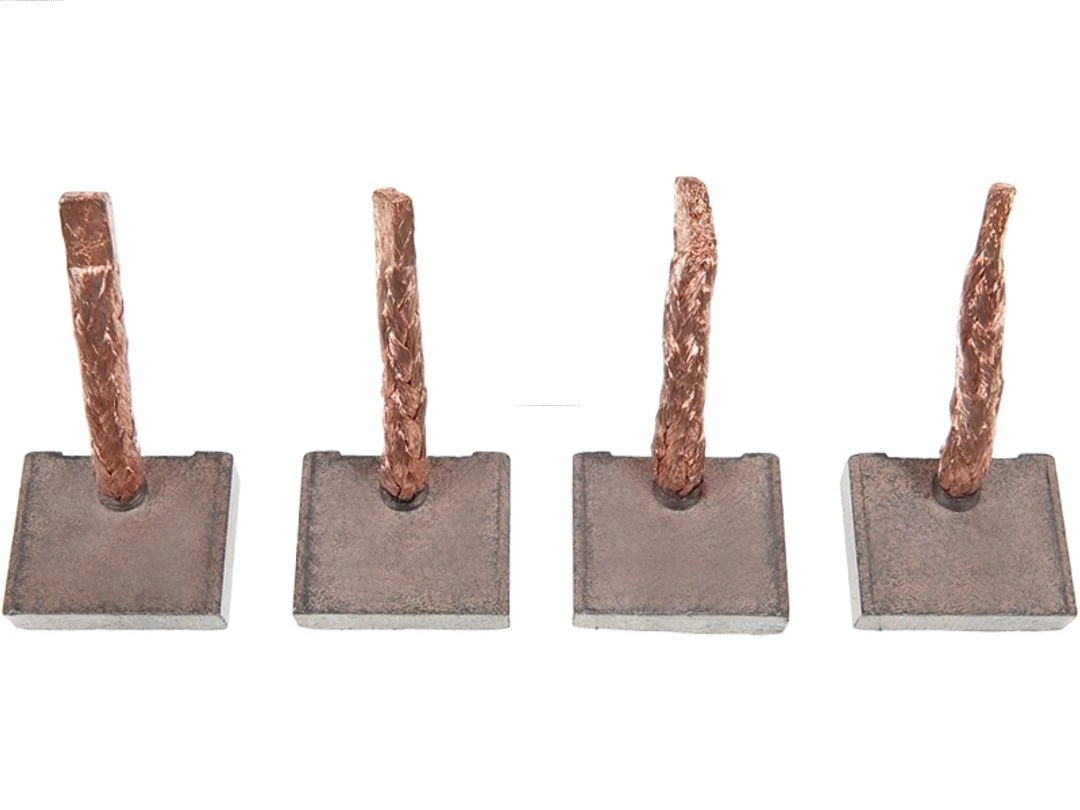 Carbon Brush, starter