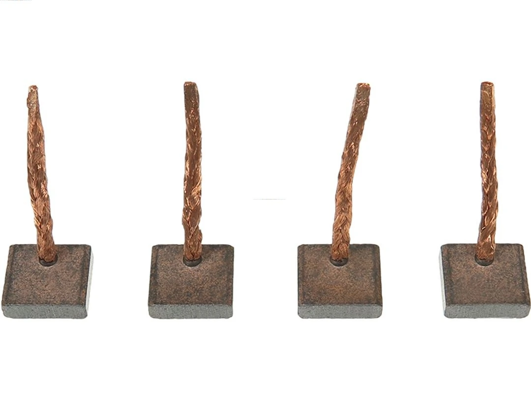 Carbon Brush, starter