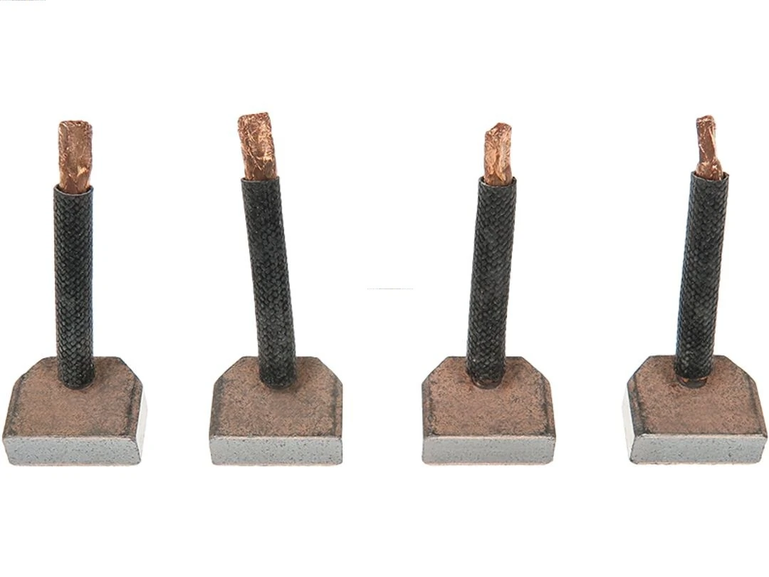 Carbon Brush, starter