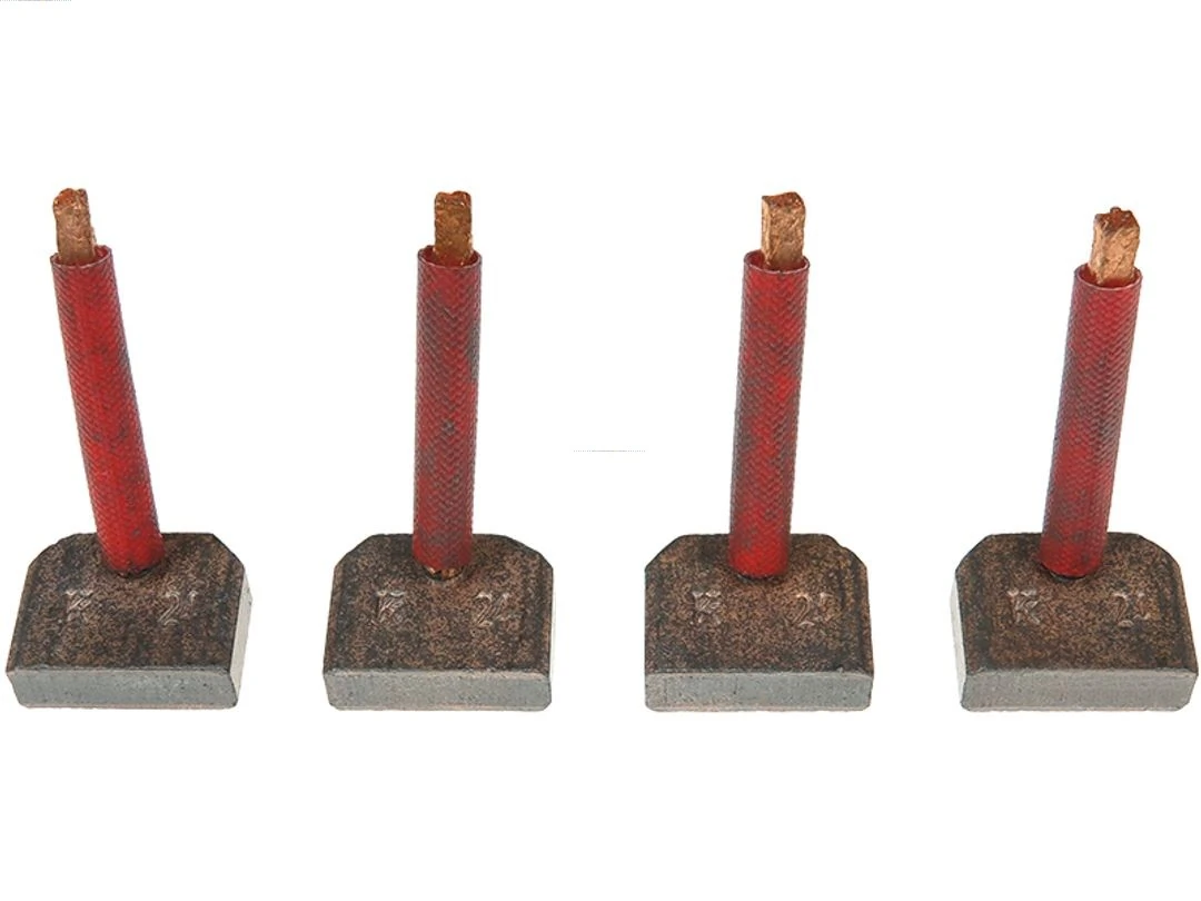 Carbon Brush, starter