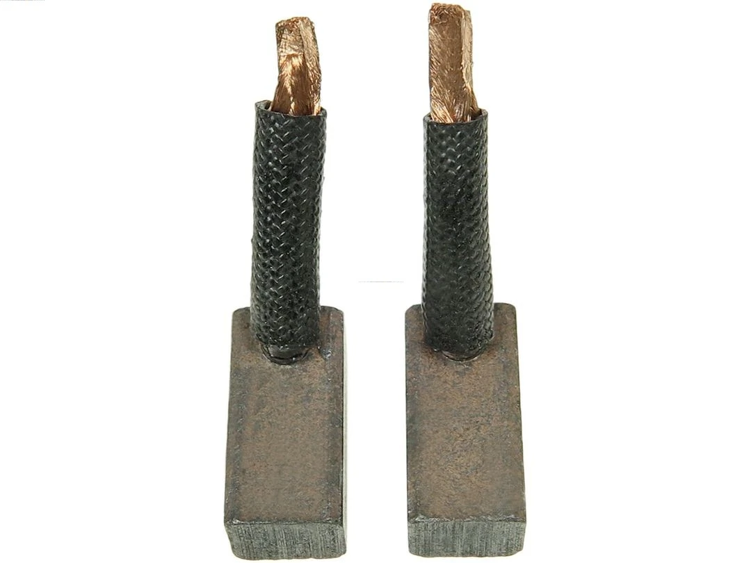 Carbon Brush, starter