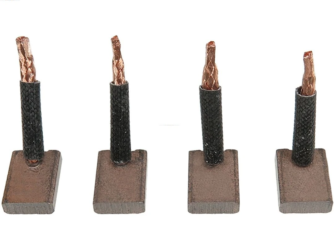 Carbon Brush, starter