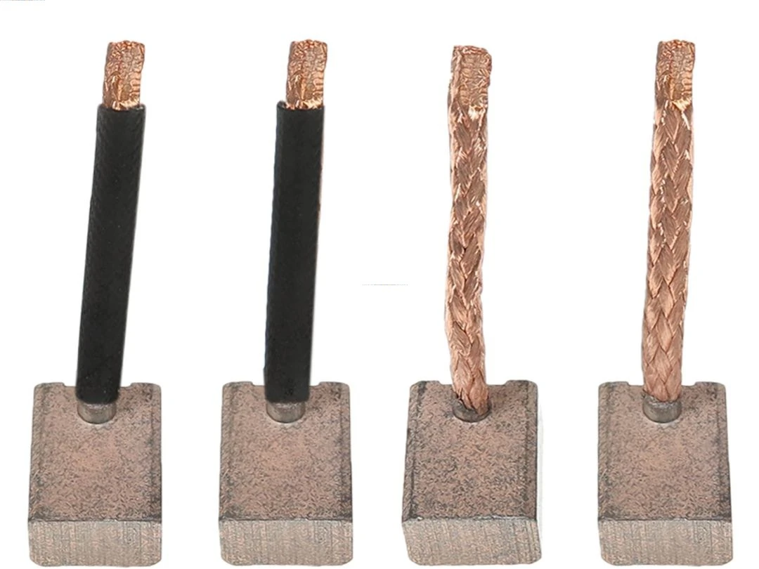 Carbon Brush, starter