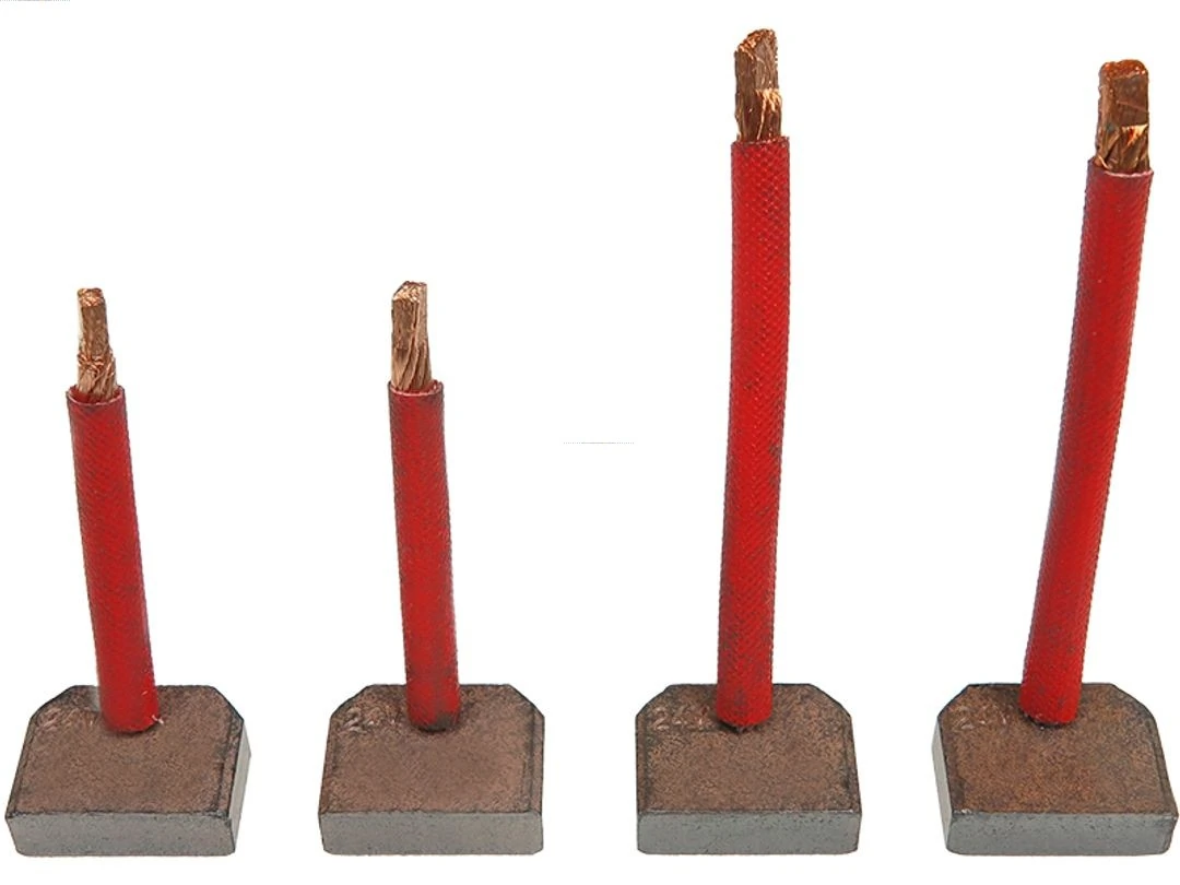 Carbon Brush, starter