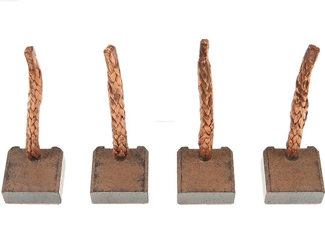 Carbon Brush, starter