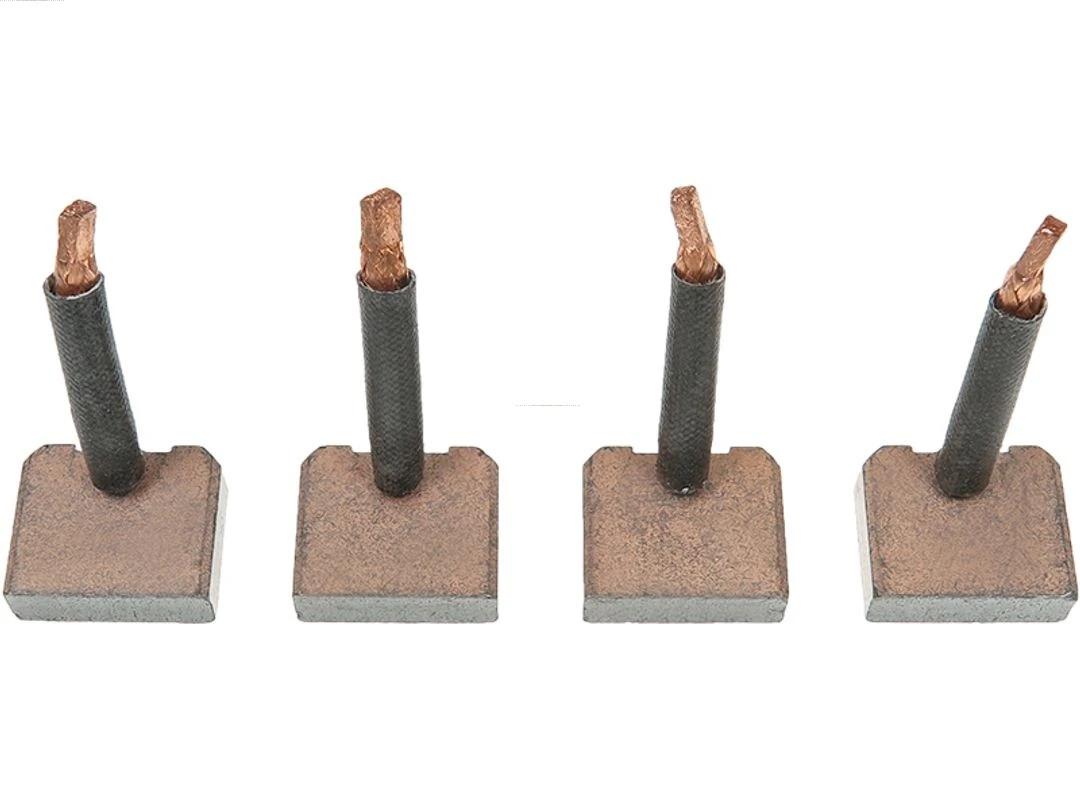 Carbon Brush, starter