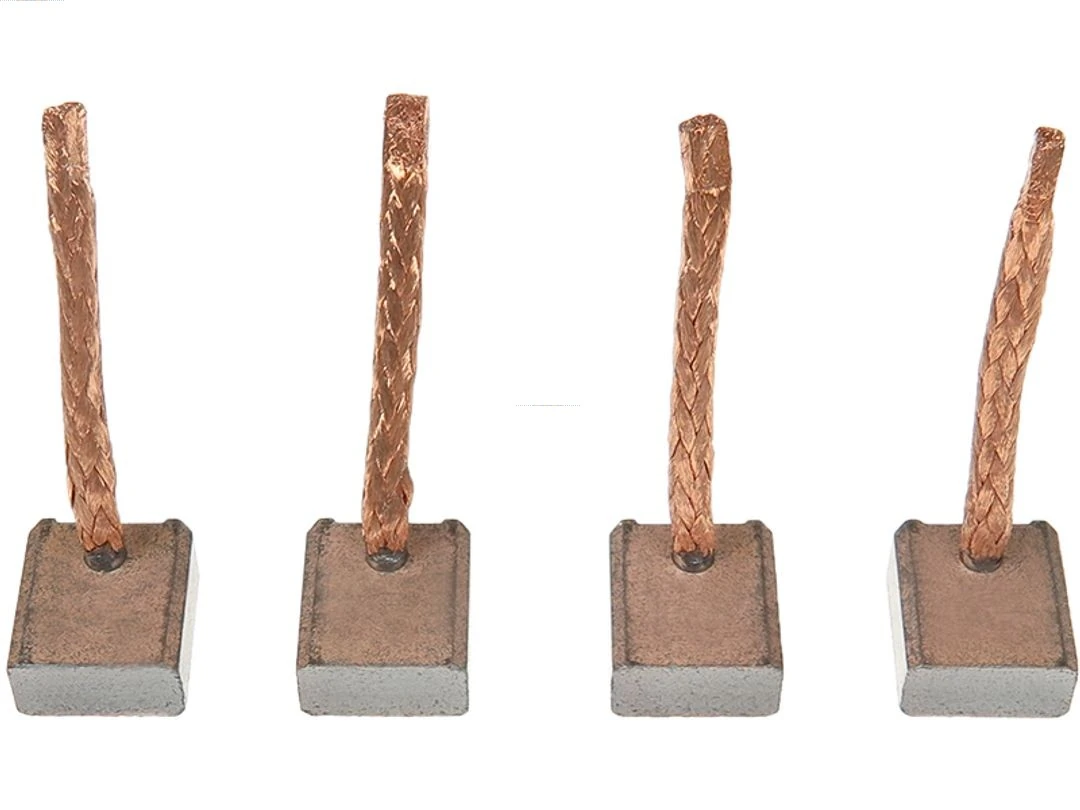 Carbon Brush, starter