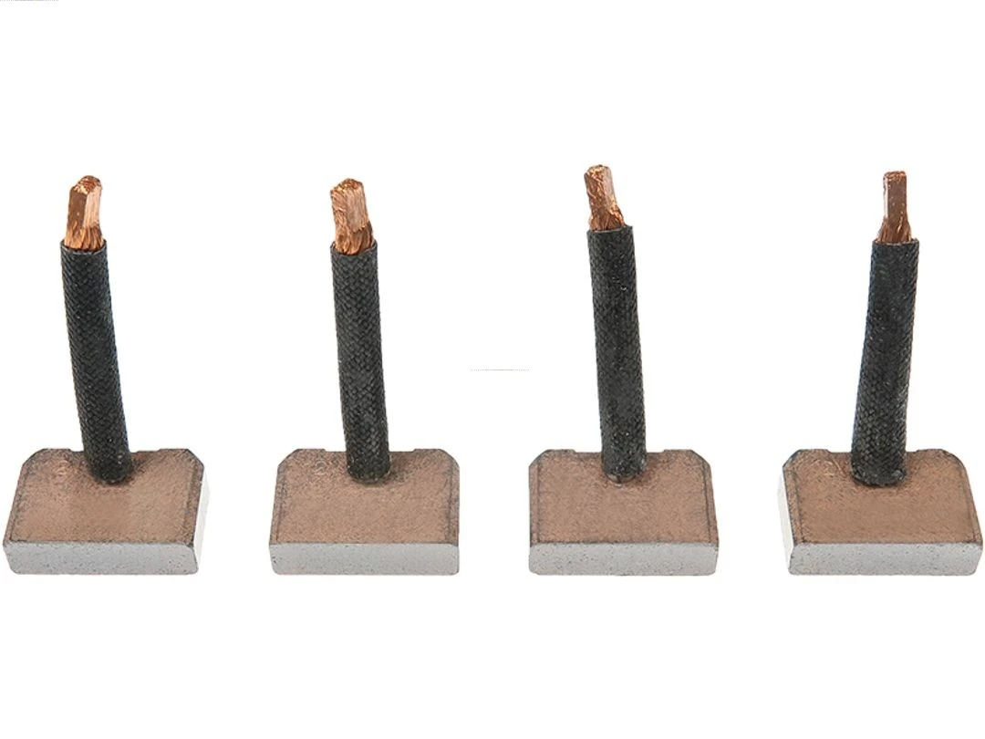 Carbon Brush, starter