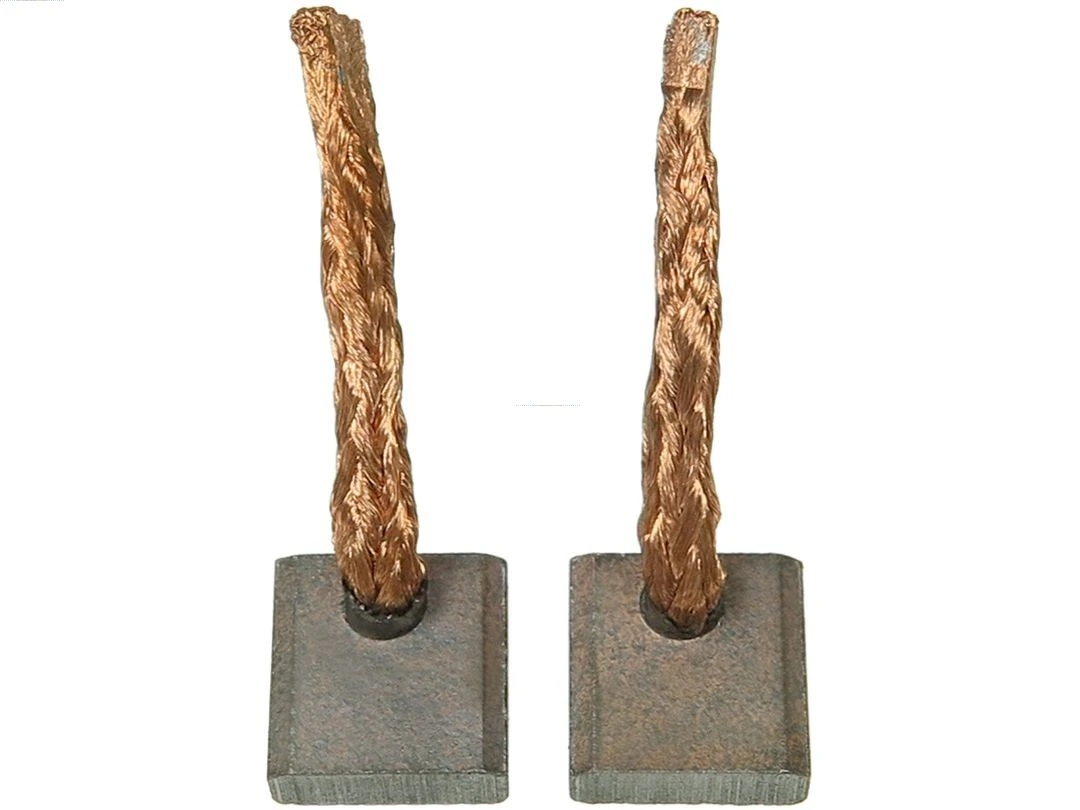 Carbon Brush, starter