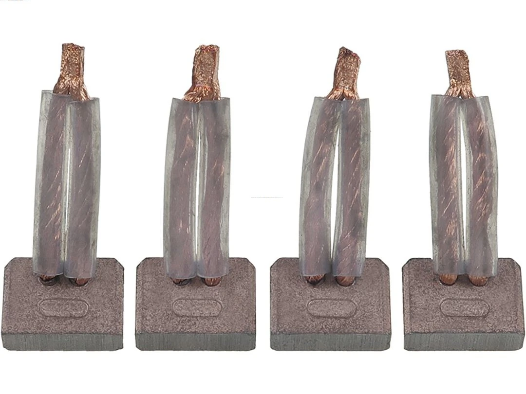 Carbon Brush, starter