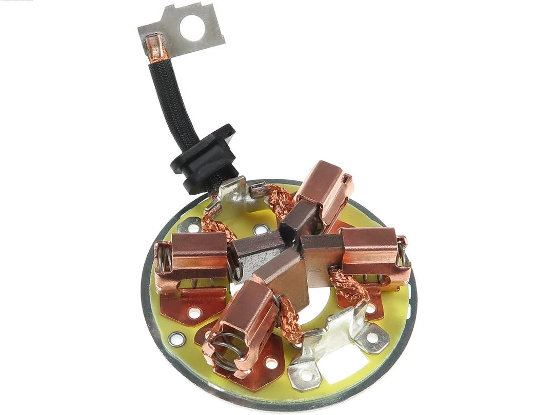 Holder, carbon brushes