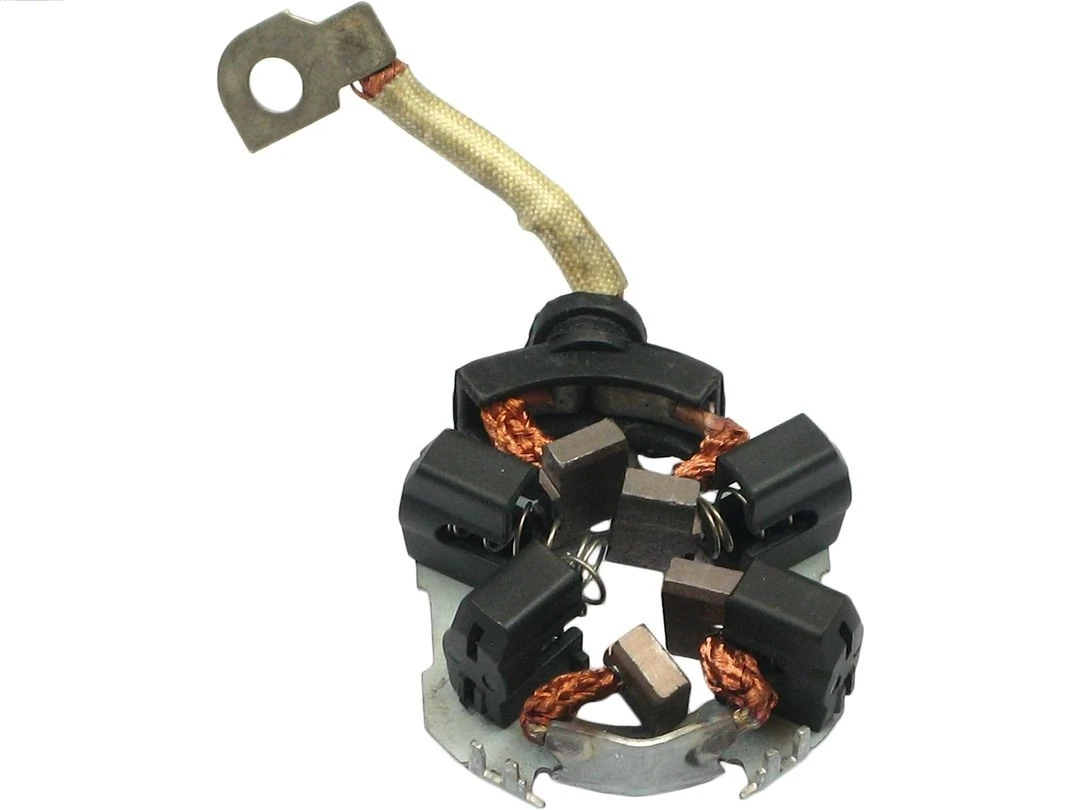 Holder, carbon brushes