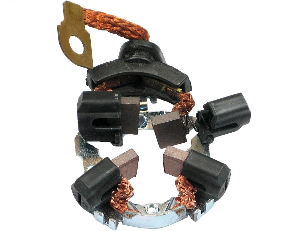 Holder, carbon brushes