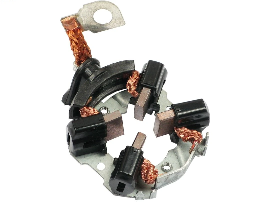 Holder, carbon brushes