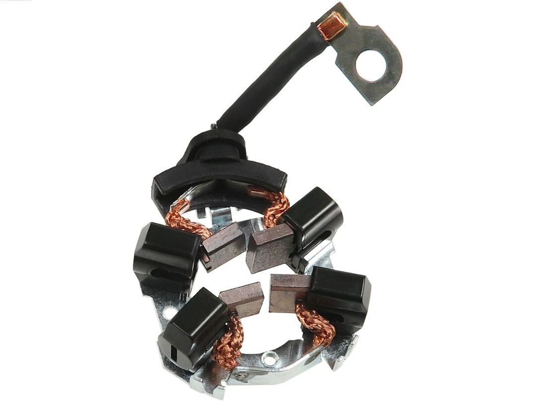 Holder, carbon brushes