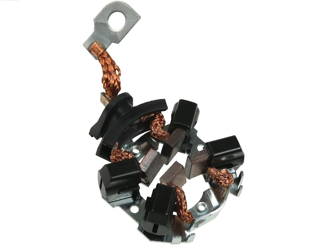 Holder, carbon brushes