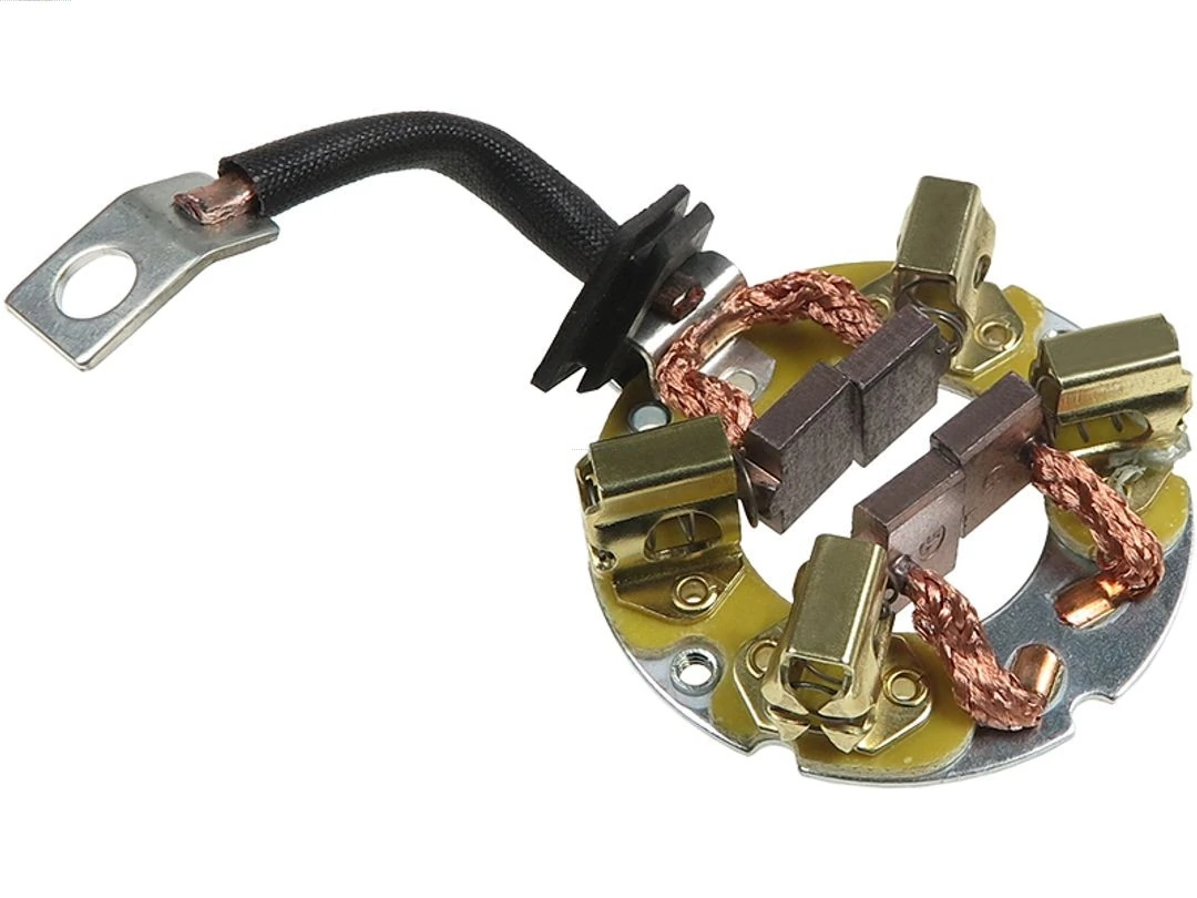 Holder, carbon brushes