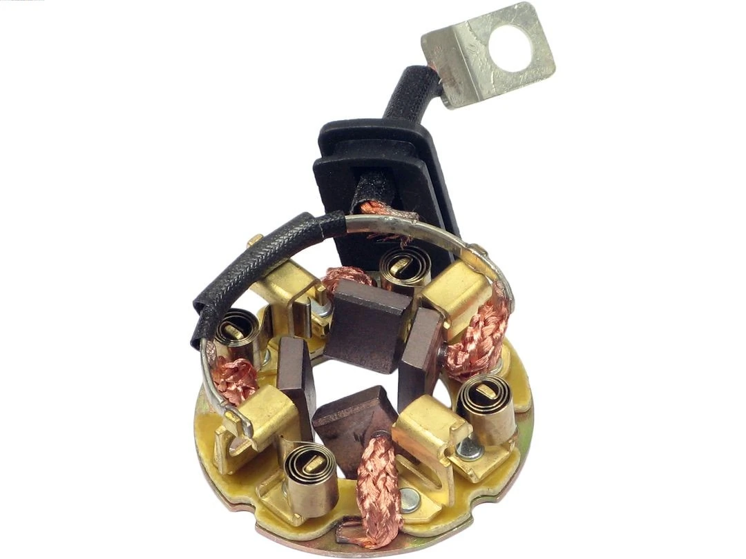 Holder, carbon brushes