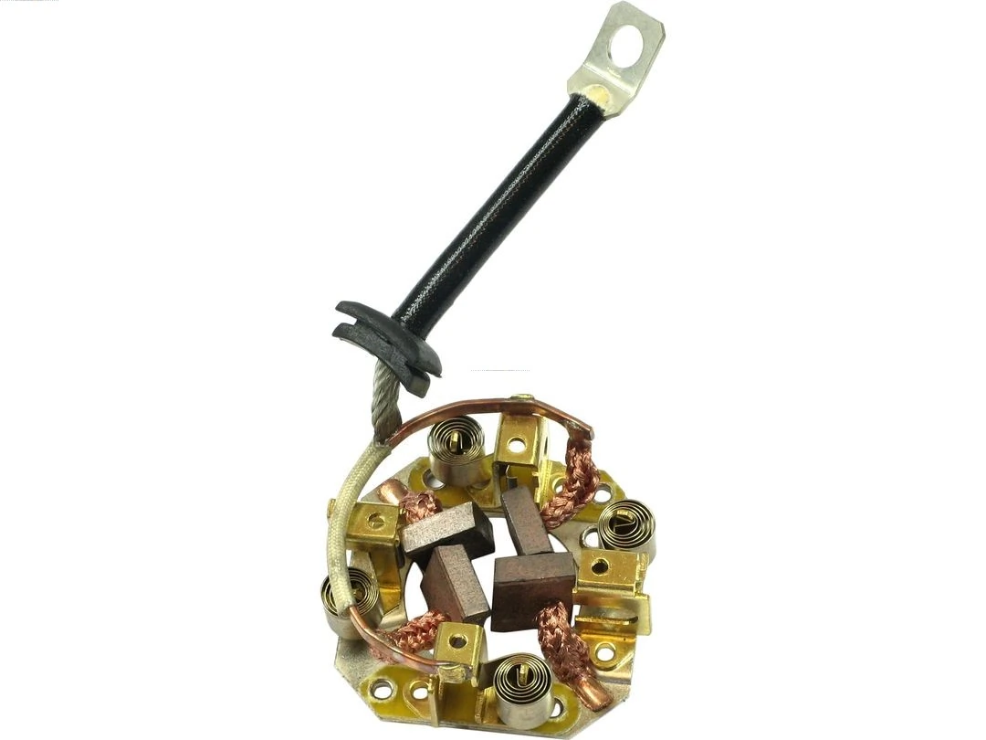 Holder, carbon brushes