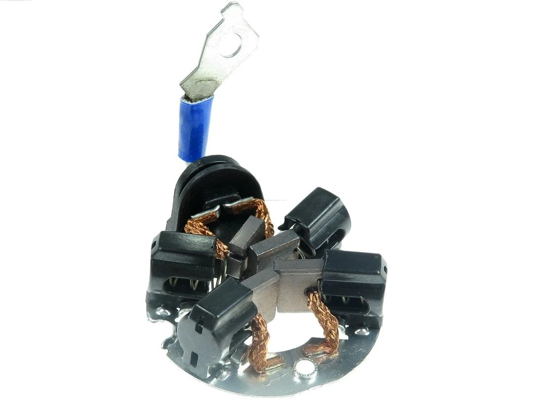 Holder, carbon brushes