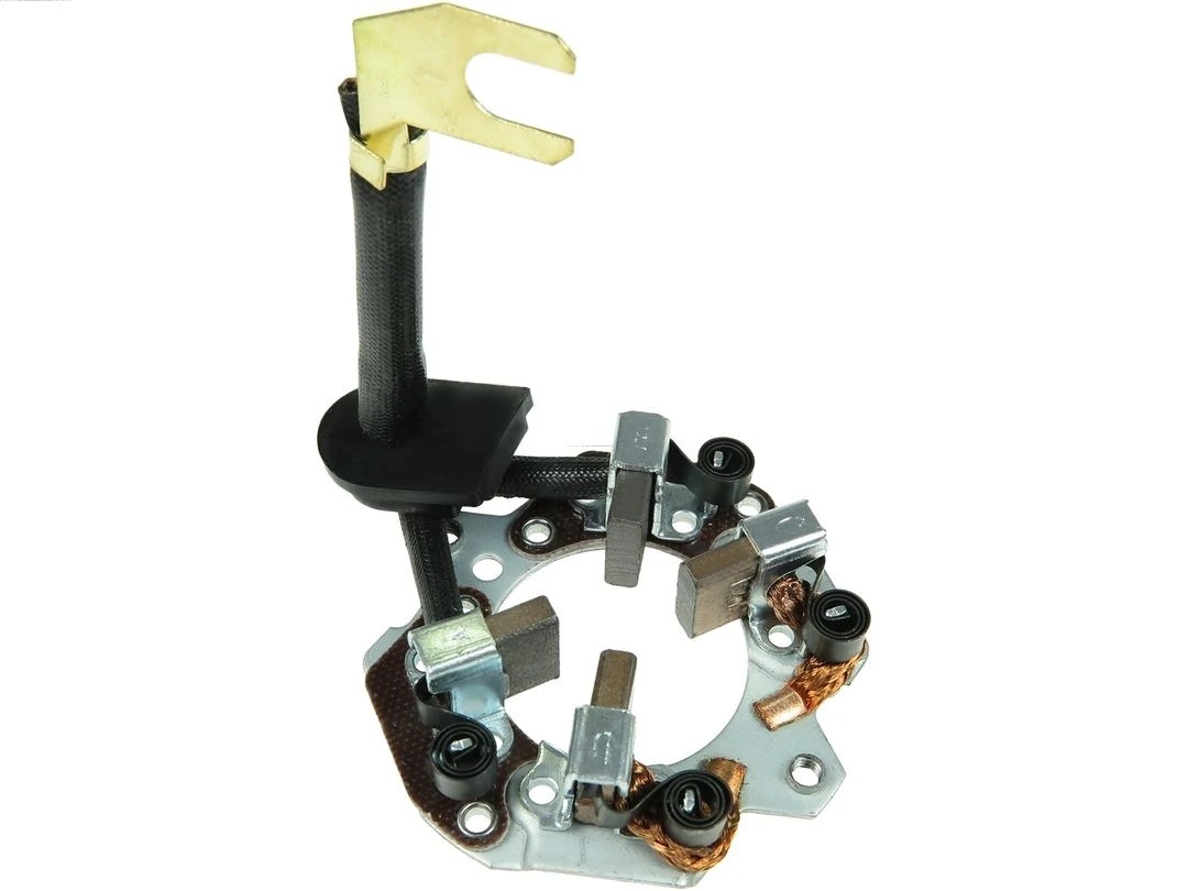 Holder, carbon brushes