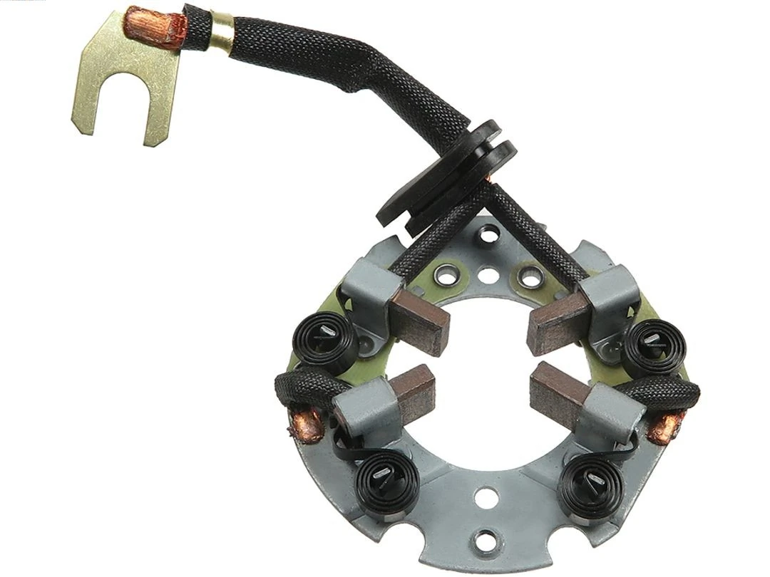 Holder, carbon brushes