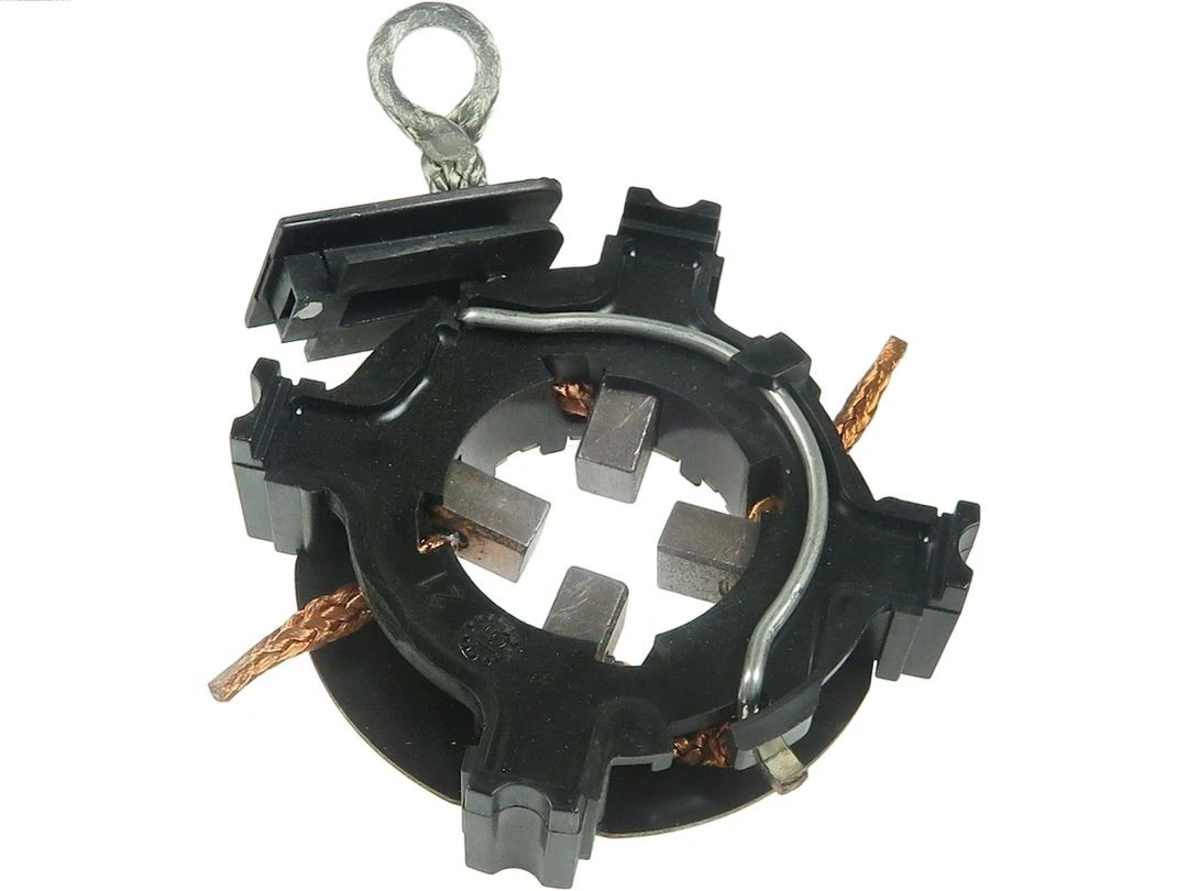 Holder, carbon brushes