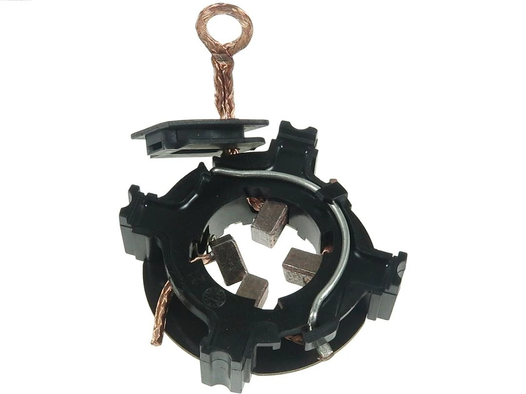 Holder, carbon brushes