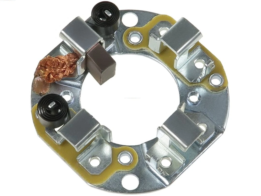 Holder, carbon brushes