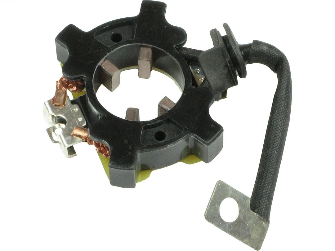 Holder, carbon brushes