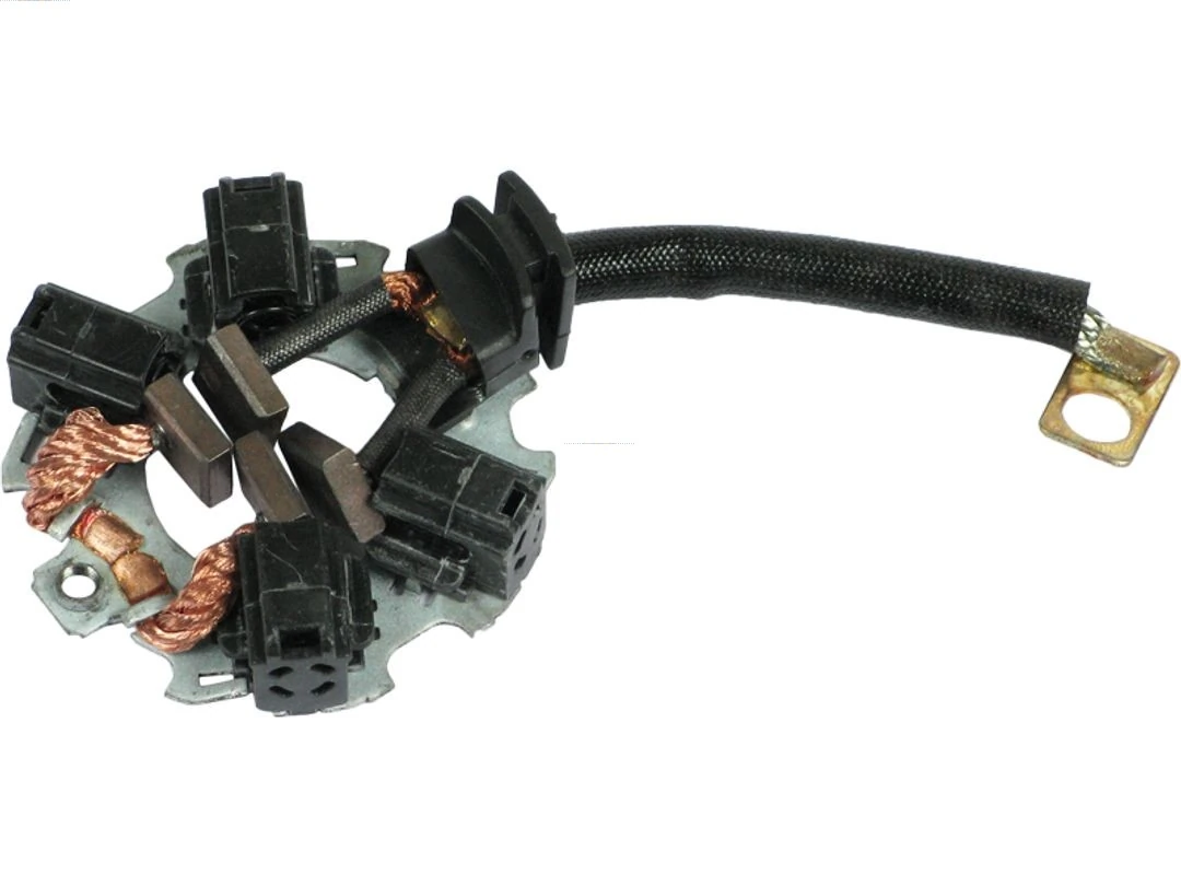 Holder, carbon brushes