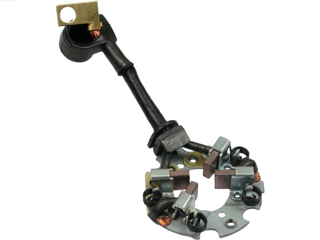 Holder, carbon brushes