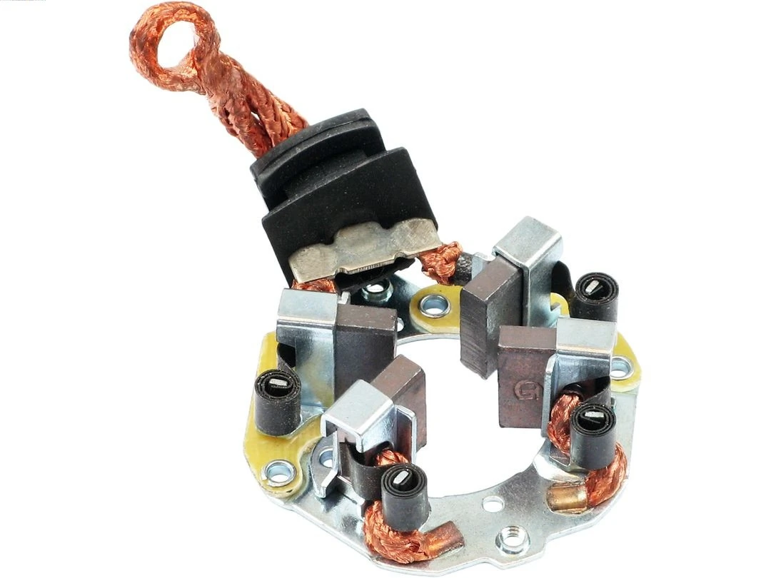 Holder, carbon brushes