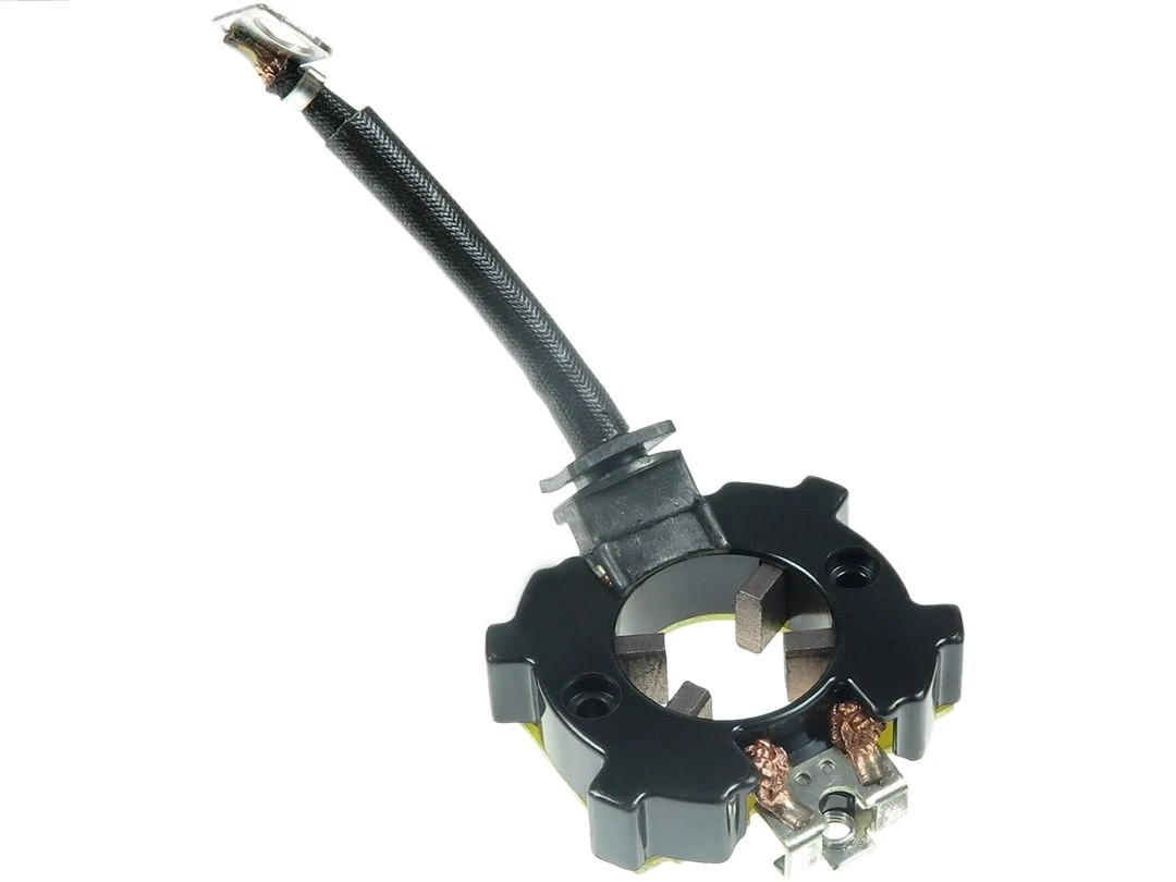 Holder, carbon brushes