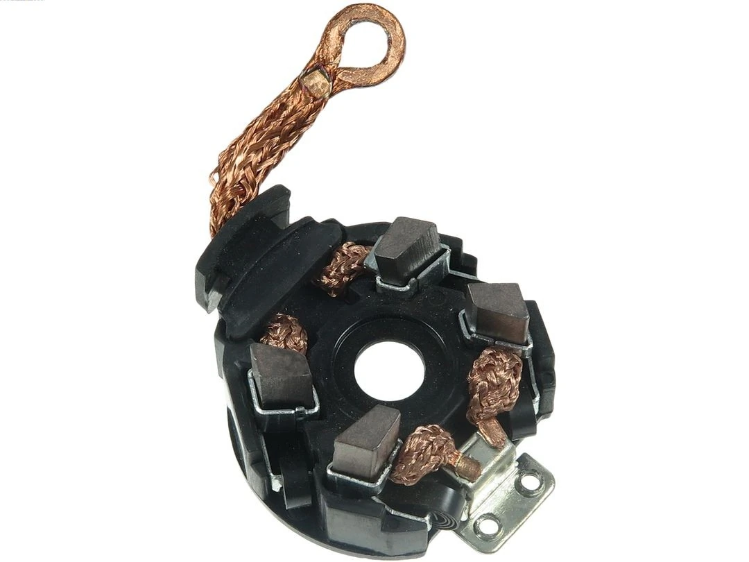 Holder, carbon brushes