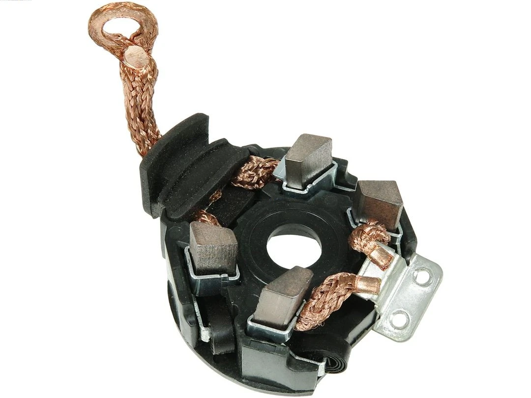 Holder, carbon brushes