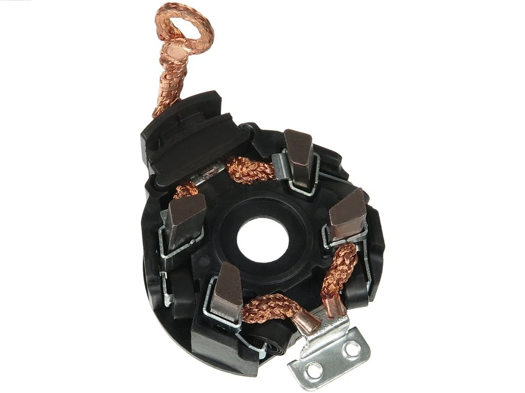 Holder, carbon brushes