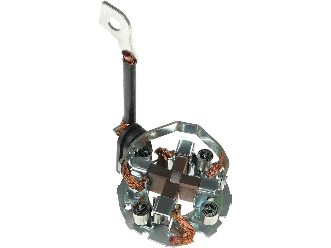 Holder, carbon brushes