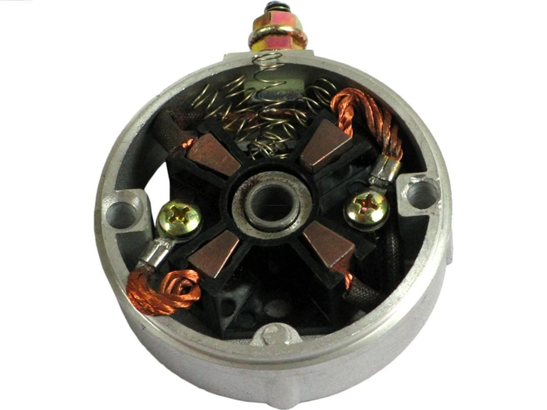 Holder, carbon brushes