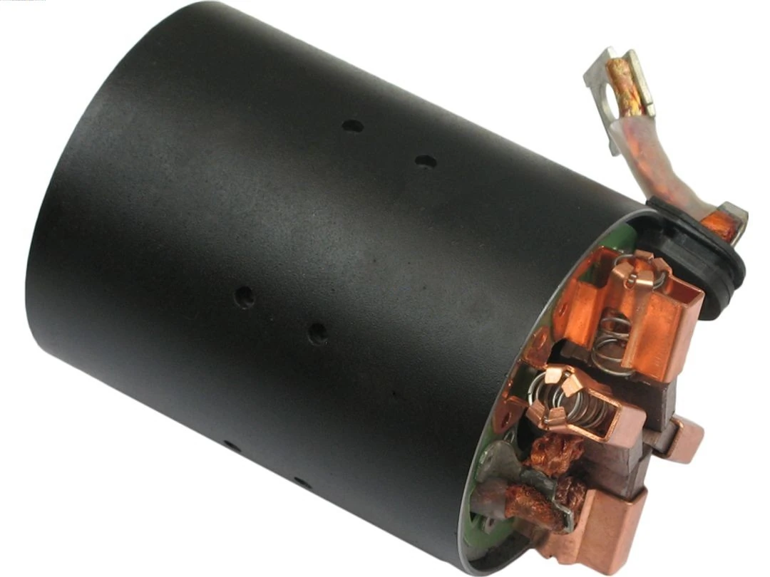 Holder, carbon brushes