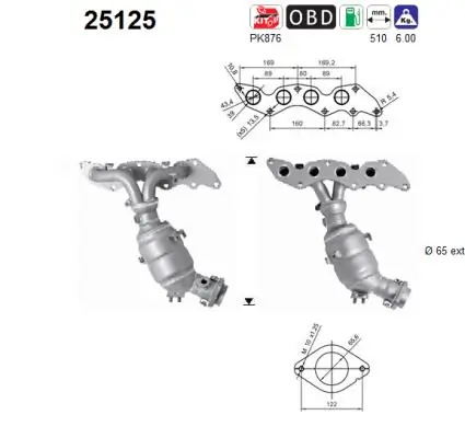 Catalytic Converter