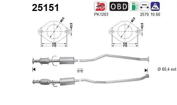 Catalytic Converter
