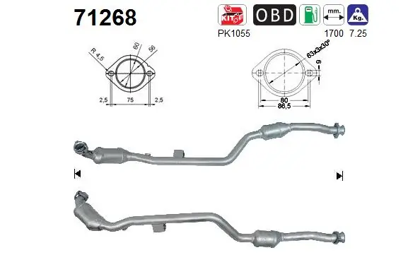 Catalytic Converter