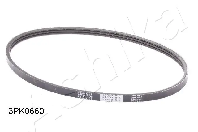 V-ribbed Belt