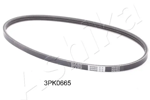 V-ribbed Belt