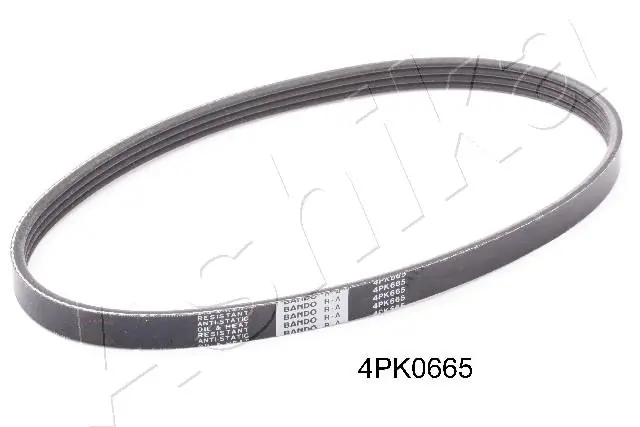 V-ribbed Belt