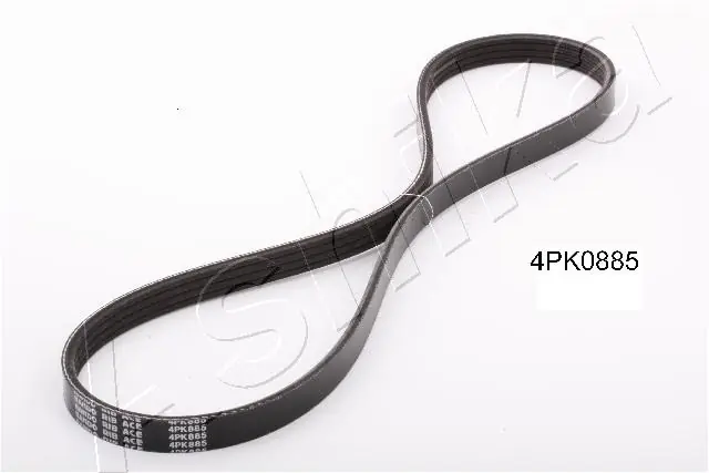 V-ribbed Belt
